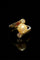 Bague 55 Bague vintage en or jaune avec perle et diamants 58 Facettes