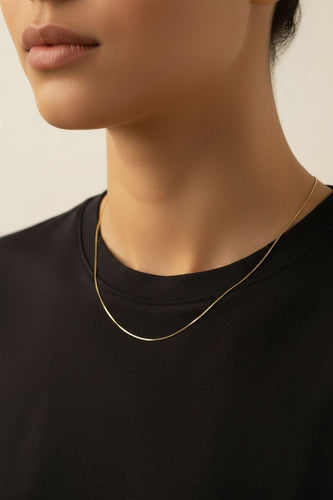 https://cdn.shopify.com/s/files/1/0075/4188/2943/files/IMG_9340_4166762_43410248-3bbe-411e-8c0c-3e4f423bde9f.jpg?v=1789011213