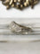 55.5 Bague dôme en or blanc et diamants 58 Facettes 284