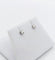 Boucles d'oreilles puces vintage en or blanc et diamants 58 Facettes A07782