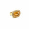 https://cdn.shopify.com/s/files/1/1477/7370/files/UN-0316_i8p9kn8f3p8_2026-09-16-13-11-41.jpg?v=1789643751