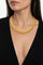 5CF2729A-FBA5-4BF5-ADFA-665F76C4FBC5.PNG