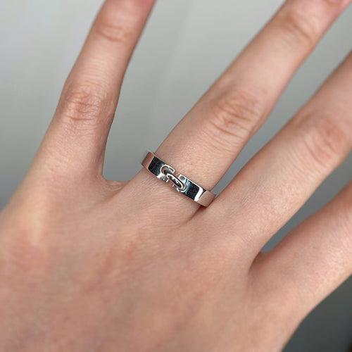 https://unsiecledebijoux.com/wp-content/uploads/2026/03/12727.jpg