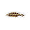 Broche Broche feuille en or blanc et jaune 750, diamants 58 Facettes 330100370