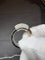 Bague 50 Piaget Dancer - Bague en or blanc 18k et diamants 58 Facettes Bague-Piaget-Dancer