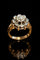 https://cdn.shopify.com/s/files/1/0759/4583/6889/files/1A763B5A-B9F4-4978-AE1A-C5F6138B95E0.jpg?v=1790148403