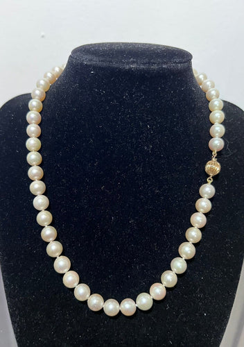 IMG_0495.jpeg