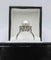 18K-gold-pearl-and-diamond-ring-8.jpg