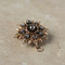 Broche Broche édouardienne étoile-fleur en or jaune et diamants 58 Facettes HJ062666