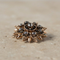 Broche Broche édouardienne étoile-fleur en or jaune et diamants 58 Facettes HJ062666