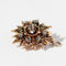 Broche Broche édouardienne étoile-fleur en or jaune et diamants 58 Facettes HJ062666