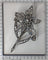 26260-0077.p08_Antique diamond floral trembleuse brooch in gold and silver  circa 1840-en.jpg