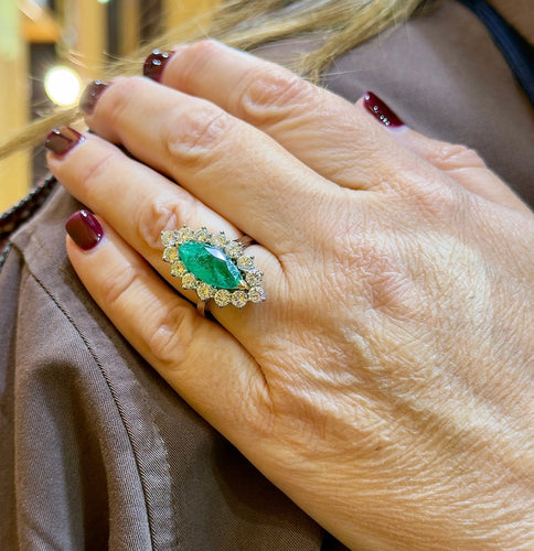IMG_4683.jpeg