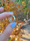 Bague 60.5 Bague tressée en or blanc 18 carats pavée de diamants 58 Facettes 1903