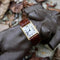 Montre Cartier - Montre Tank Louis 78086 en or 18k, vers les années 1980 58 Facettes 11236