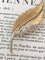 Broche Broche plume en or jaune et blanc 18k avec diamants taille rose 58 Facettes 307