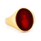 Bague 67 Bague chevalière armoriée en cornaline, or jaune 14k 58 Facettes 7CB05453CE004E14831A5F5C6789D44E