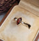 Bague 51.5 Bague trilogie en or rose 18 carats, grenat et perles de culture 58 Facettes 772