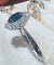 Bague 53 Bague Pompadour - Or blanc 18 carats, saphir bleu roi 1,29 ct et diamants 58 Facettes 8037 A