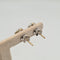 Boucles d'oreilles Boucles d’oreilles en or blanc 18k avec diamant naturel 58 Facettes #4283