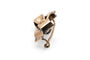 Broche Broche Art nouveau en or jaune 18 carats sertie de diamants taille rose 58 Facettes B1003