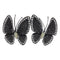 Boucles d'oreilles Boucles d’oreilles en or blanc 750 rhodié noir, diamants blancs et noirs 58 Facettes G4064