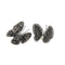 Boucles d'oreilles Boucles d’oreilles en or blanc 750 rhodié noir, diamants blancs et noirs 58 Facettes G4064
