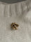 Broche Broche abeille en or jaune 18k, diamants et rubis 58 Facettes LOT 7886