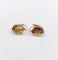 Boucles d'oreilles Boucles d’oreilles dormeuses en or rose 18k, décor floral, vers 1900 58 Facettes A07960