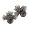 Boucles d'oreilles Orecchini - Orecchini en or blanc avec perles de Tahiti et diamants 58 Facettes G3862