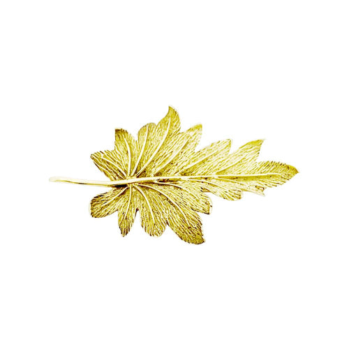 Broche Tiffany & Co - Broche feuille en or jaune 750 58 Facettes 35302