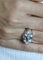 Bague 54 Bague Or blanc et Diamants 58 Facettes RNG0610