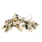Broche Broche - Or, Platine & Diamants 58 Facettes 230076R