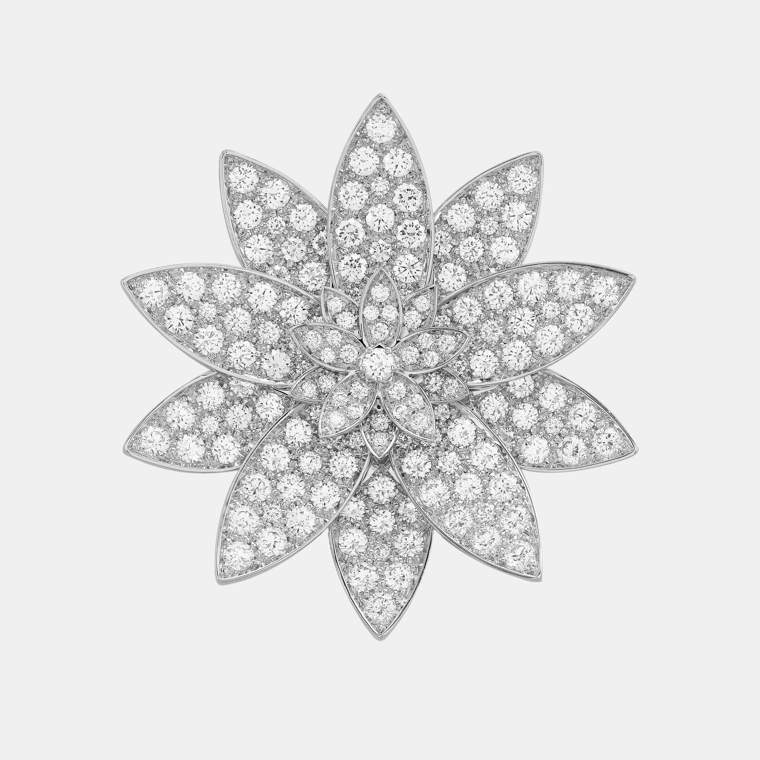 Lotus de Van Cleef & Arpels : un aperçu d’histoire