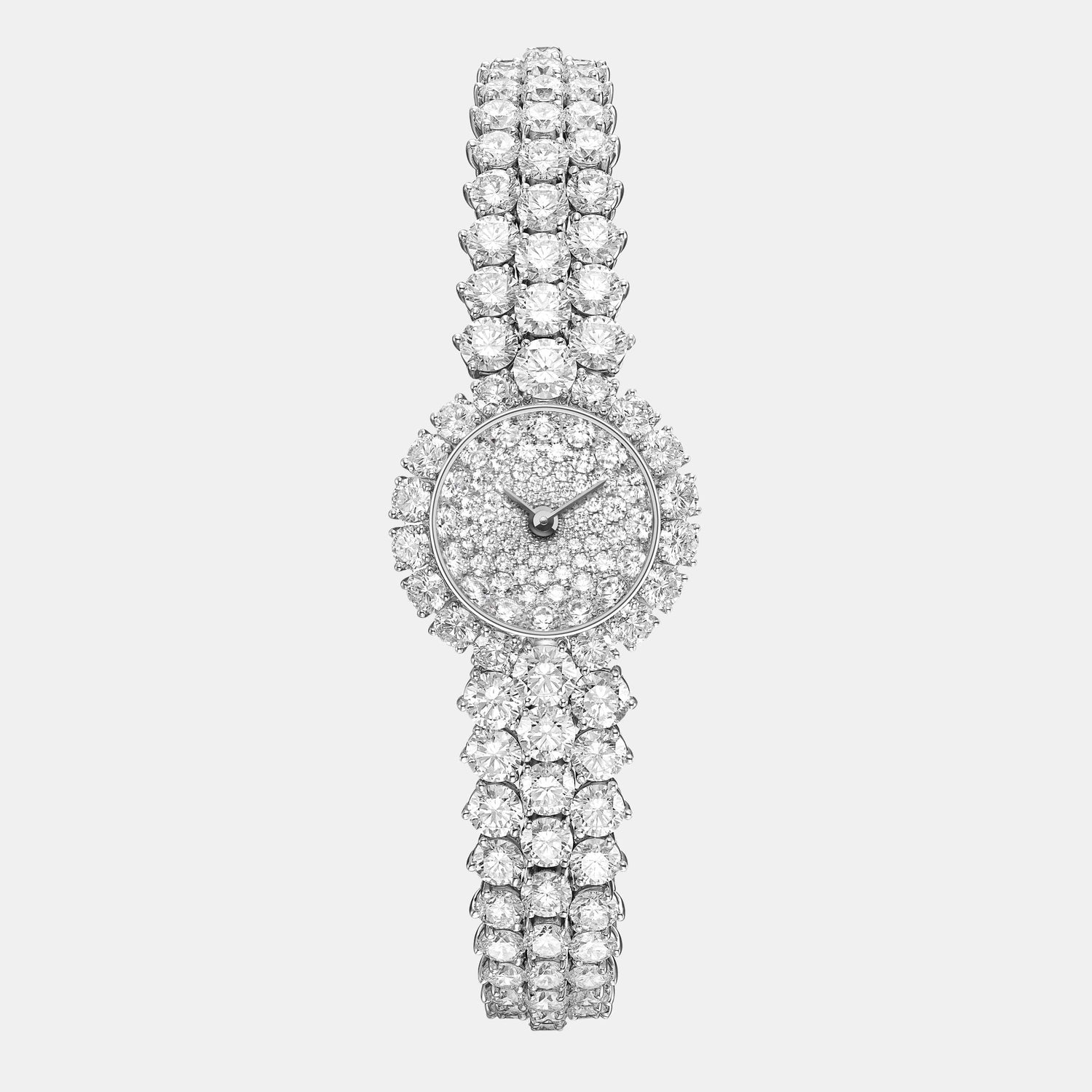 Montre A Cheval Platine Diamant 15.8ct