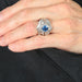 Ring 55 Petticoat Ring, Sapphire & Diamonds, White Gold 58 Facettes DV0032-13