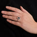 Ring 55 Marguerite Sapphire Diamond Ring 58 Facettes DV0384-1