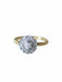 Antique diamond daisy ring 58 Facettes