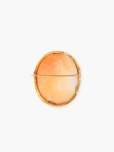 Broche Broche Camée 58 Facettes B9747