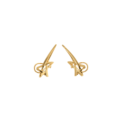 Boucles d'oreilles TIFFANY & CO – PALOMA PICASSO – Boucles d’oreilles Etoile 58 Facettes