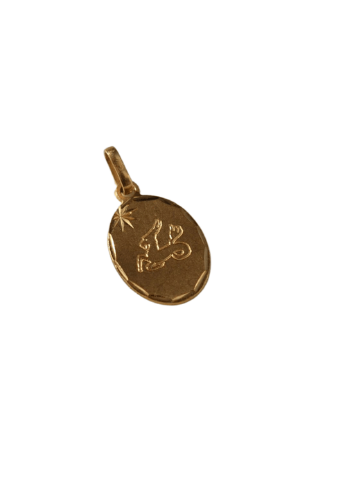 Pendentif Pendentif signe astrologique capricorne 58 Facettes Ref1300