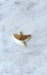 Pendant Vintage shark tooth pendant on gold 58 Facettes