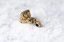 Pendentif Pendentif ancien sceau cachet en pomponne et cornaline 58 Facettes