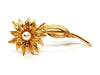 Brooch Brooch Yellow gold 58 Facettes 1850840CN