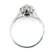 Ring 54 Platinum Diamond Solitaire Ring 58 Facettes 8959139B04194215836E433196A53A10