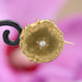Brooch Round yellow gold pearl brooch 58 Facettes 18-057