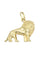 Pendentif PENDENTIF LION 58 Facettes 046471