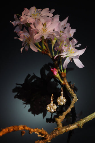 Boucles d'oreilles Boucles d'oreilles avec diamants et perles 58 Facettes 23031-0043