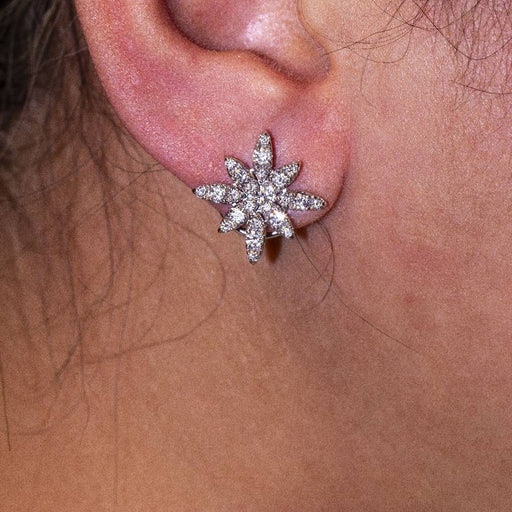 Boucles d'oreilles Boucles d'oreilles PASQUALE BRUNI Or blanc Diamants 58 Facettes D360378CS