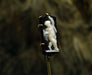 Brooch Tie pin in gold and onyx cameo. Bacchus 58 Facettes